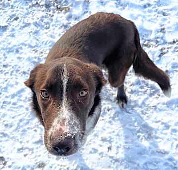 Photo of Bandit