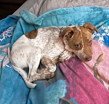 Photo of Zoe