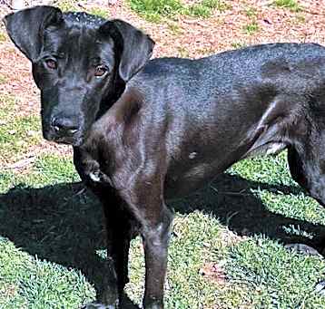 Photo of Micah
