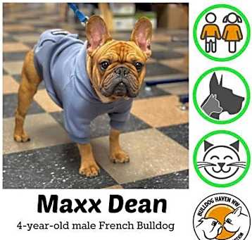 Photo of Maxx Dean