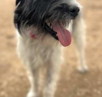 Photo of Tasha
