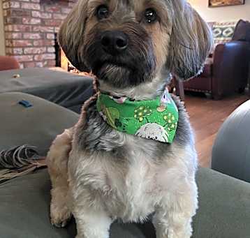 Photo of Lucy