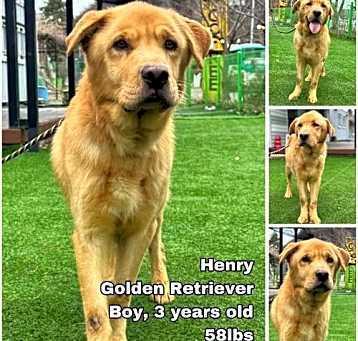 Photo of Henry from Korea