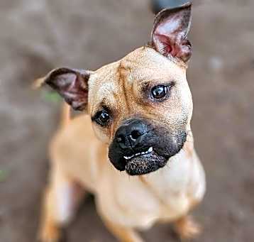 Photo of Fiona