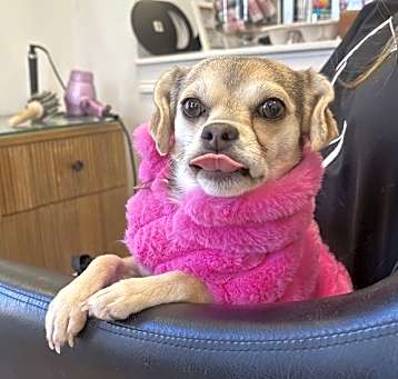 Photo of Winnie