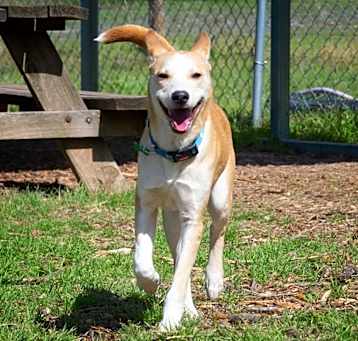 Photo of Speedy