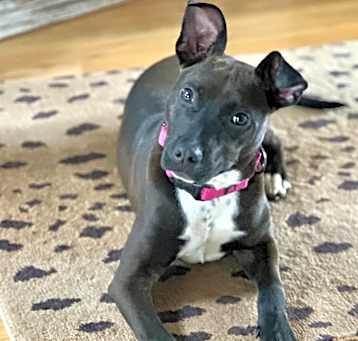 Photo of WINNIE