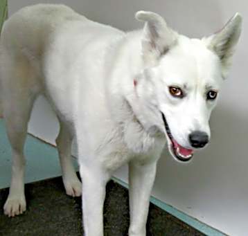 Photo of Oaklyn
