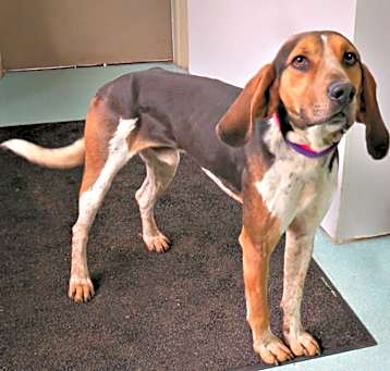 Photo of Tracker