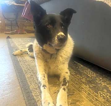 Photo of Blue