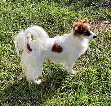 Photo of Fleur