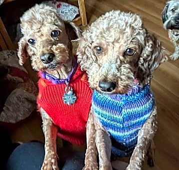 Photo of Reba & Ruby