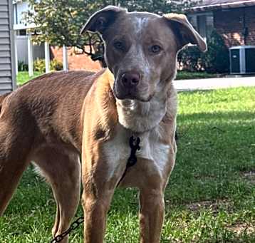 Photo of Daisy