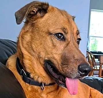 Photo of Sammy