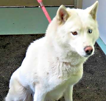 Photo of Powder