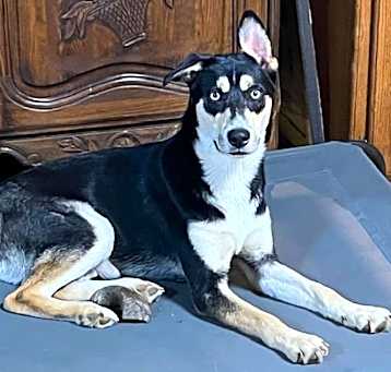 Photo of Groucho
