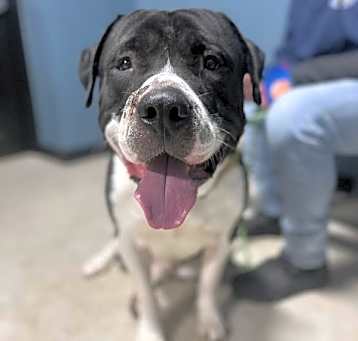 Photo of Zeus