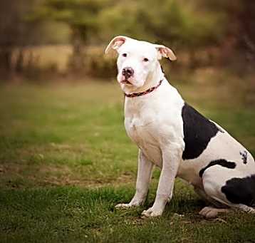 Photo of FLORA