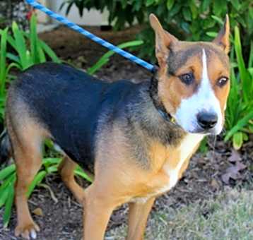 Photo of Addie