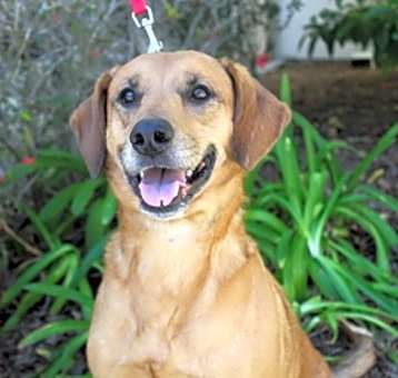 Photo of Waylon