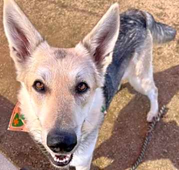 Photo of Guero
