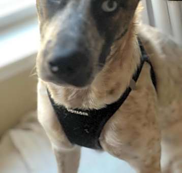 Photo of Sasha