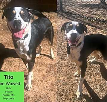 Photo of Tito