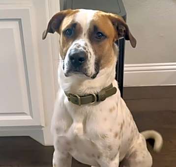 Photo of Duke