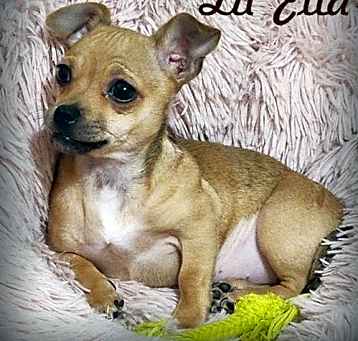 Photo of Lil Ella