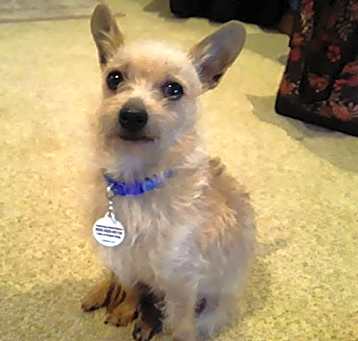 Photo of Disco