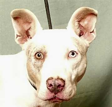 Photo of TESS