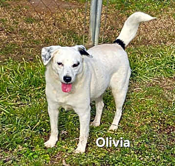 Photo of Olivia