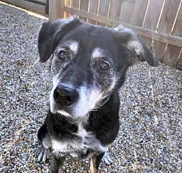 Photo of Bentley