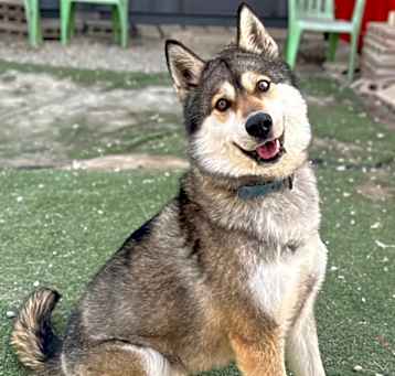 Photo of Elsa