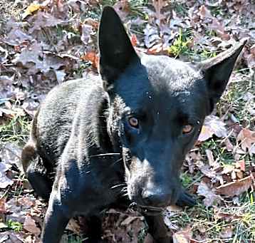 Photo of Jake
