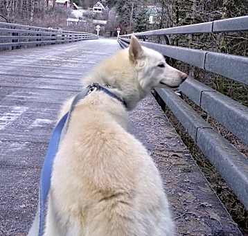Photo of Ghost