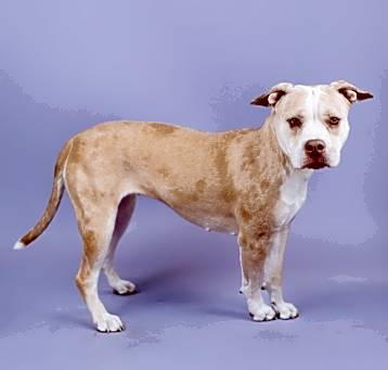 Photo of Lita