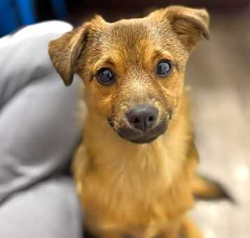 Photo of Lulu