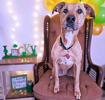 Photo of Molly