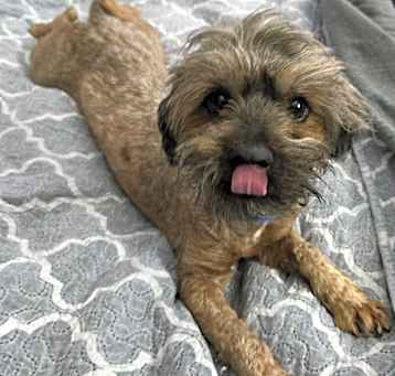 Photo of Fritz