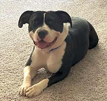 Photo of Annie