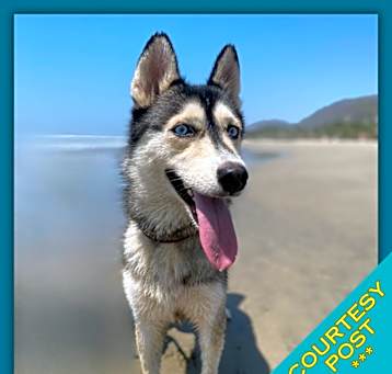 Photo of Sora (CP)