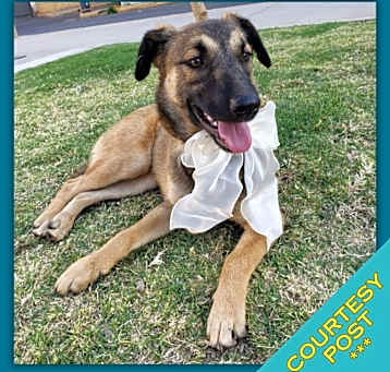 Photo of Matilda (CP)