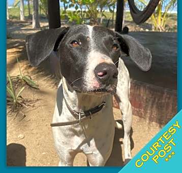 Photo of Libby (CP)