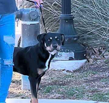 Photo of Zeus