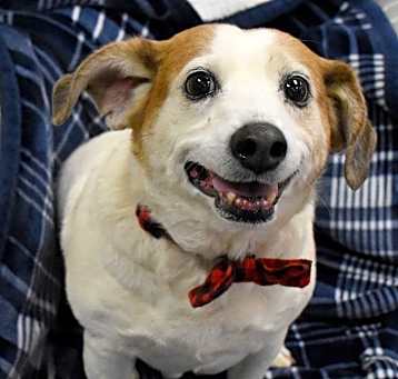 Photo of Oli