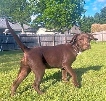 Photo of Lilie