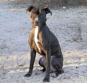 Photo of Diego