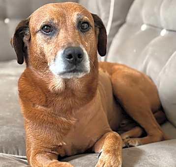 Photo of Parker