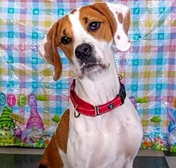 Photo of Oliver